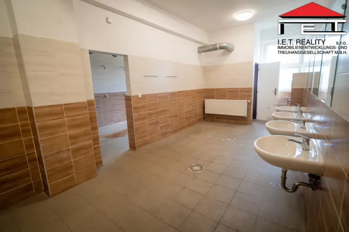 Prodej výrobních prostor, Ostrava, Lihovarská, 21100 m2