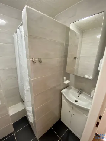 Pronájem bytu 1+kk, Most, K. H. Borovského, 26 m2
