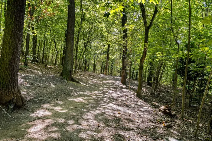 Prodej bytu 4+kk, Praha, Pod lysinami, 80 m2