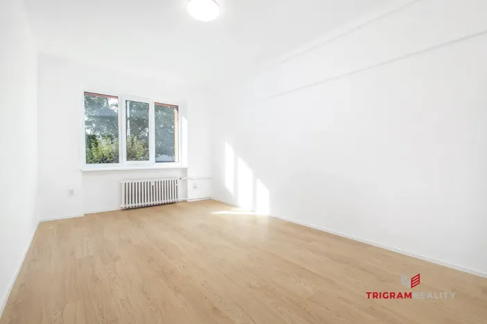 Prodej bytu 3+1, Hradec Králové - Pražské Předměstí, Haškova, 74 m2