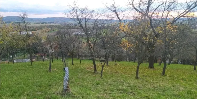 Prodej zahrady, Přílepy, 3492 m2