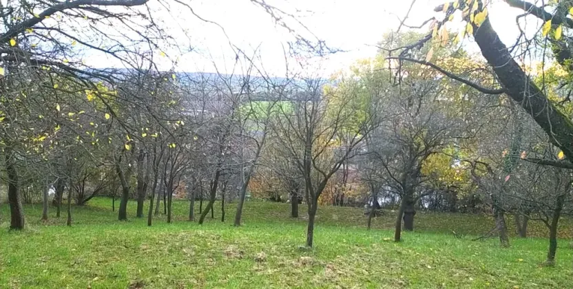 Prodej zahrady, Přílepy, 3492 m2