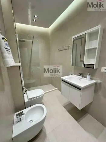 Prodej bytu 1+kk, Golem, 29 m2