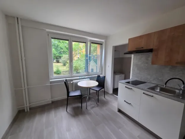 Pronájem bytu 1+kk, Plzeň, Táborská, 25 m2