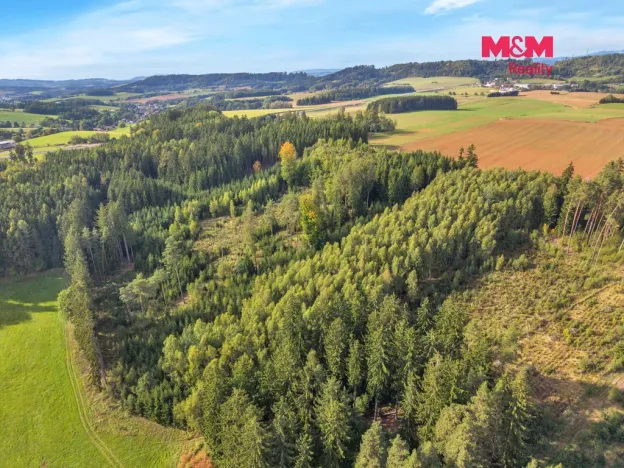 Prodej lesa, Vidochov, 8513 m2