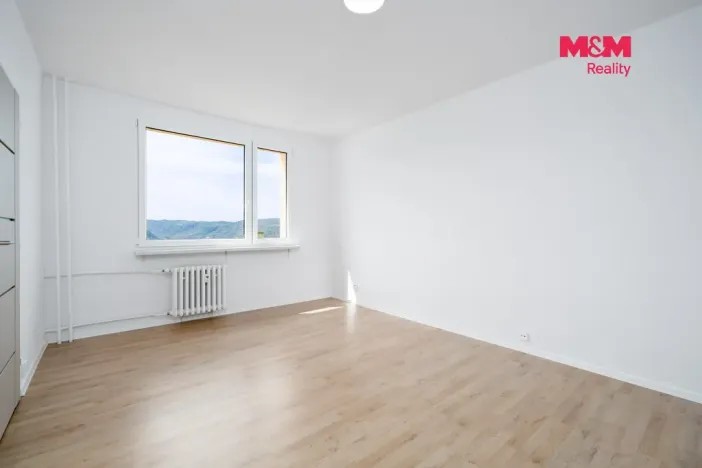Prodej bytu 1+1, Ústí nad Labem, Kmochova, 33 m2