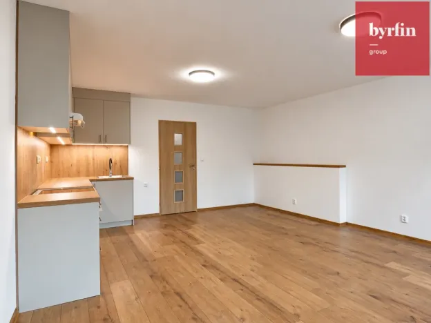 Pronájem bytu 1+kk, Opava, Lužická, 38 m2