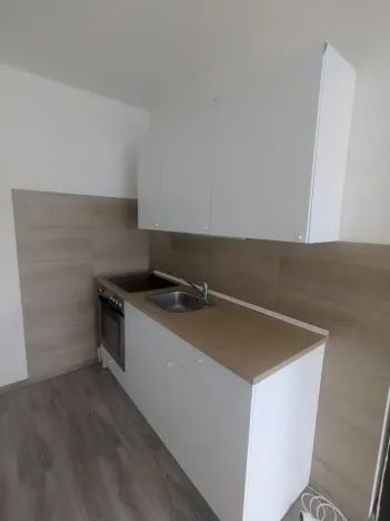 Pronájem bytu 1+kk, Ústí nad Labem - Krásné Březno, Dr. Horákové, 31 m2