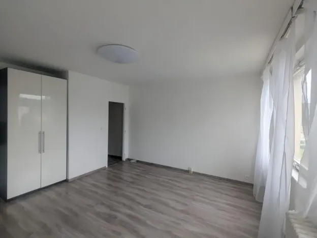 Pronájem bytu 1+kk, Ústí nad Labem - Krásné Březno, Dr. Horákové, 31 m2