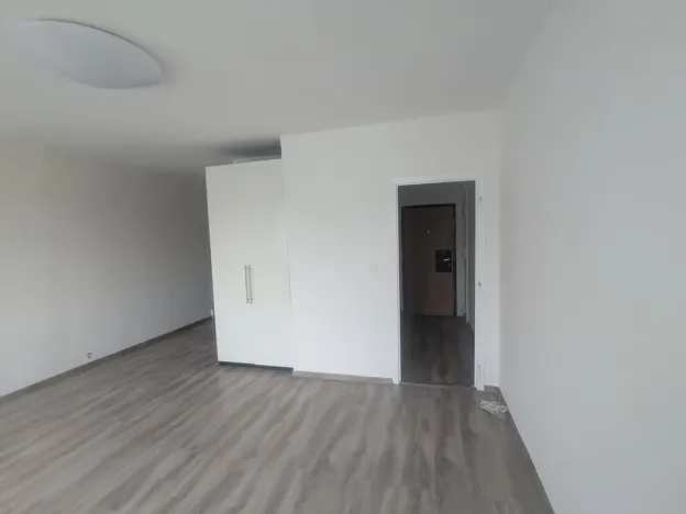 Pronájem bytu 1+kk, Ústí nad Labem - Krásné Březno, Dr. Horákové, 31 m2