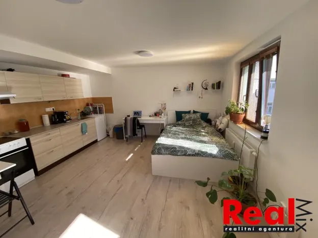 Pronájem bytu 1+kk, Brno - Veveří, Smetanova, 30 m2
