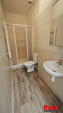 Pronájem bytu 1+kk, Brno - Veveří, Smetanova, 17 m2