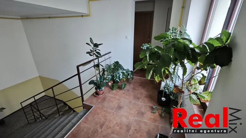 Pronájem bytu 1+kk, Brno - Veveří, Smetanova, 17 m2