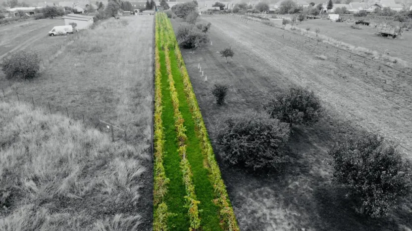 Prodej zahrady, Týnec, Náves, 1237 m2