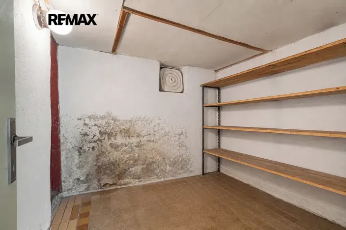 Prodej rodinného domu, Mladý Smolivec, 173 m2