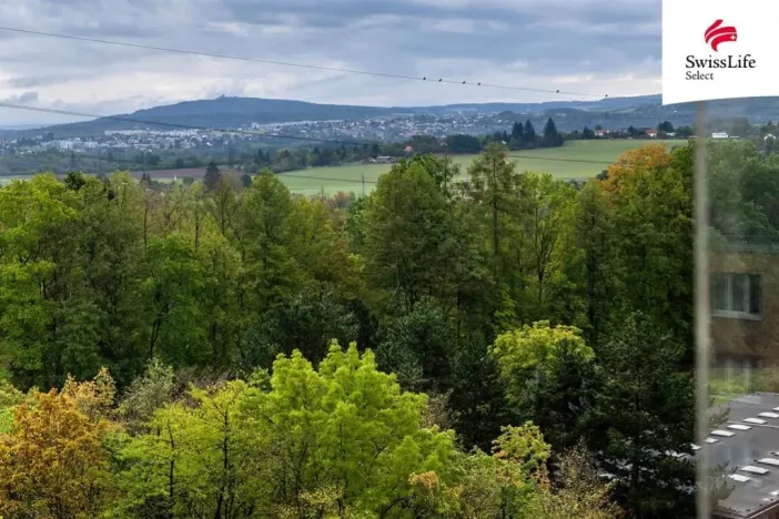 Prodej bytu 2+1, Plzeň - Doudlevce, Heyrovského, 70 m2