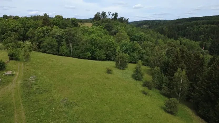 Prodej pozemku pro bydlení, Planá, 1435 m2