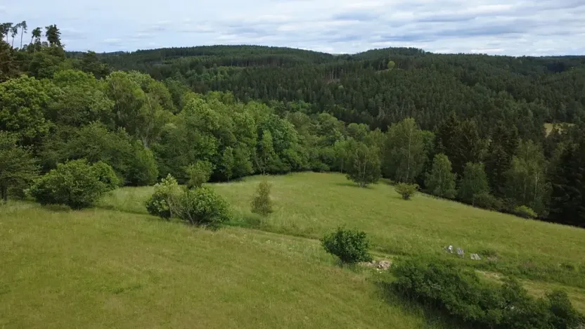 Prodej pozemku pro bydlení, Planá, 1218 m2