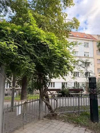 Pronájem bytu 2+kk, Praha - Žižkov, Křišťanova, 58 m2