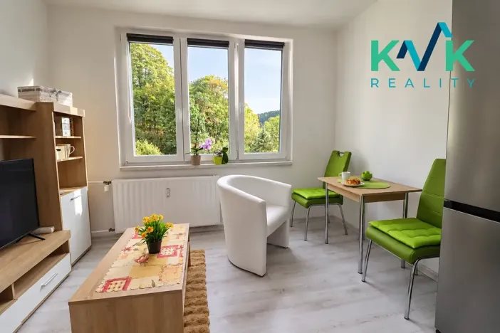 Prodej bytu 1+1, Kraslice, Wolkerova, 35 m2