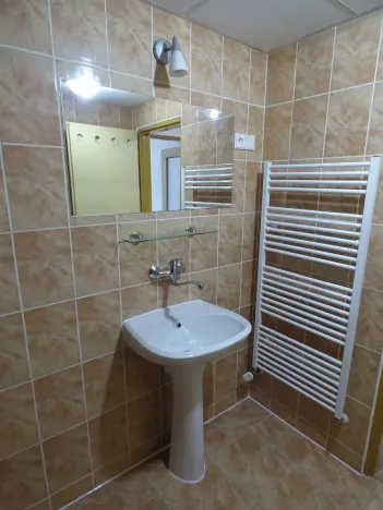 Pronájem bytu 1+kk, Brno, Heršpická, 23 m2
