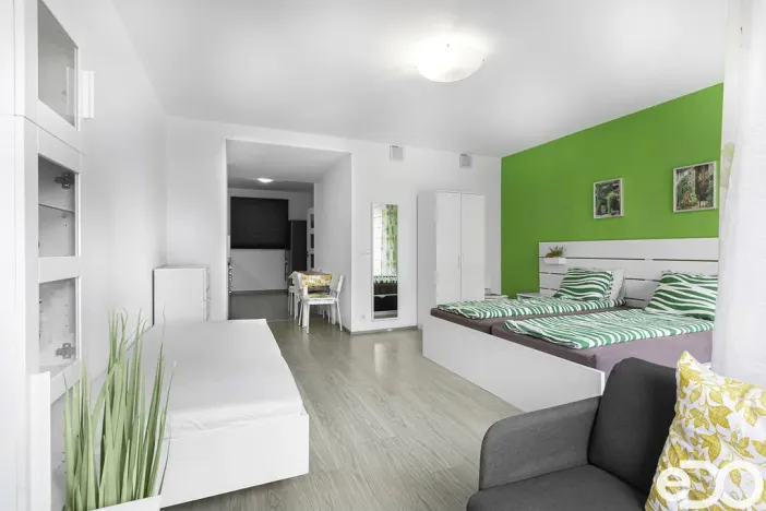 Pronájem bytu 1+kk, Praha, Petržílkova, 42 m2