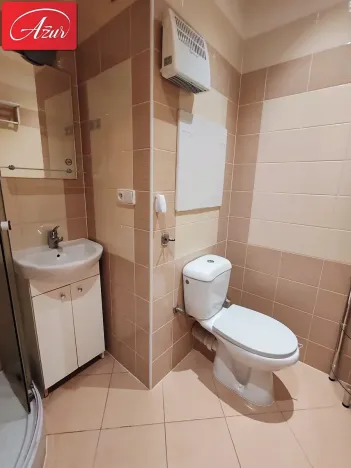 Pronájem bytu 1+1, Duchcov, Osecká, 35 m2