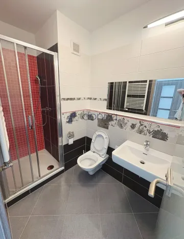 Pronájem bytu 4+kk, Praha, Makedonská, 108 m2