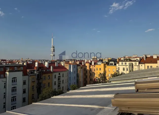 Pronájem bytu 3+kk, Praha, Korunní, 157 m2