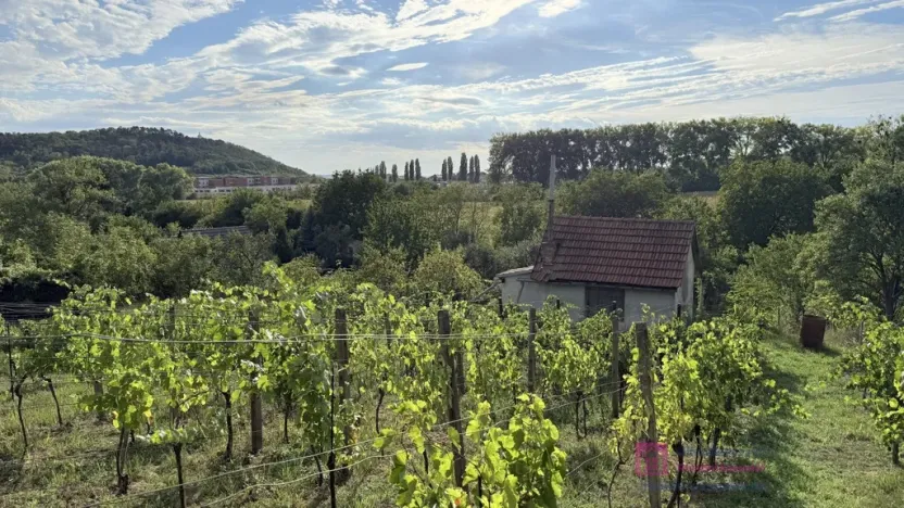 Prodej zahrady, Mikulov, Nová, 14 m2
