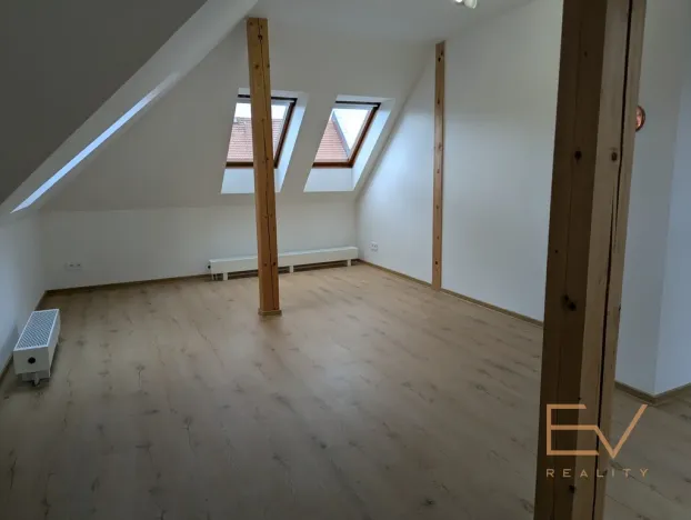 Pronájem bytu 3+kk, Praha - Žižkov, Jeseniova, 110 m2