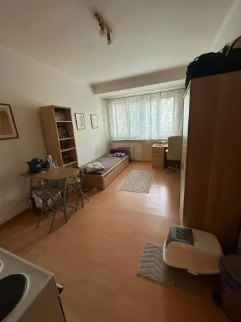 Pronájem bytu 1+kk, Praha - Libeň, Drahobejlova, 20 m2