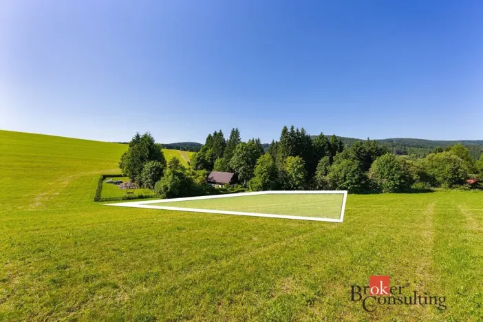 Prodej pozemku pro bydlení, Říčky v Orlických horách, 1400 m2