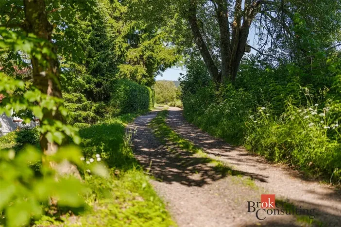 Prodej pozemku pro bydlení, Říčky v Orlických horách, 1400 m2