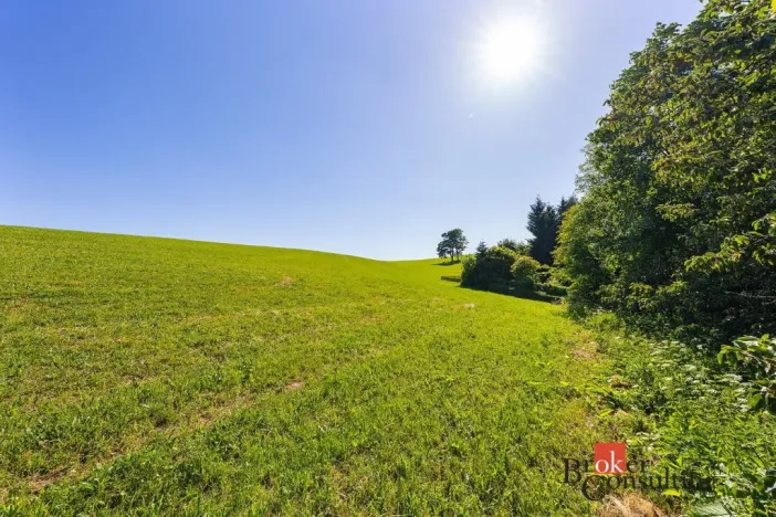 Prodej pozemku pro bydlení, Říčky v Orlických horách, 1400 m2