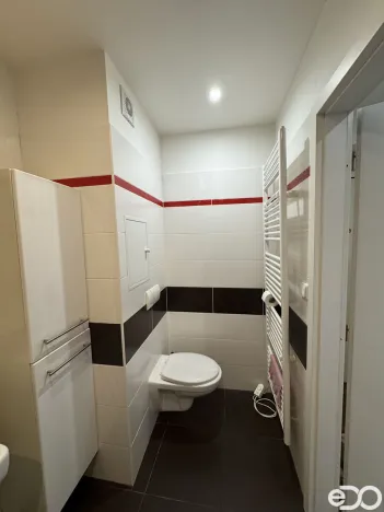Pronájem bytu 2+kk, Mladá Boleslav, Purkyňova, 64 m2