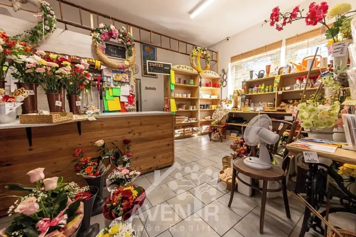 Prodej komerční nemovitosti, Ratíškovice, Vítězná, 329 m2