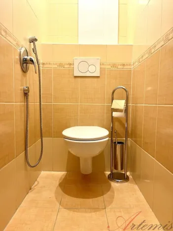 Pronájem bytu 1+kk, Frýdek-Místek - Frýdek, Hasičská, 29 m2