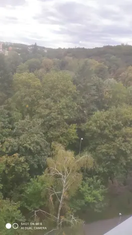Pronájem bytu 2+kk, Praha - Kobylisy, Bojasova, 45 m2