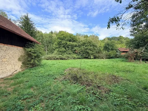 Prodej zemědělské usedlosti, Trstěnice, 60 m2