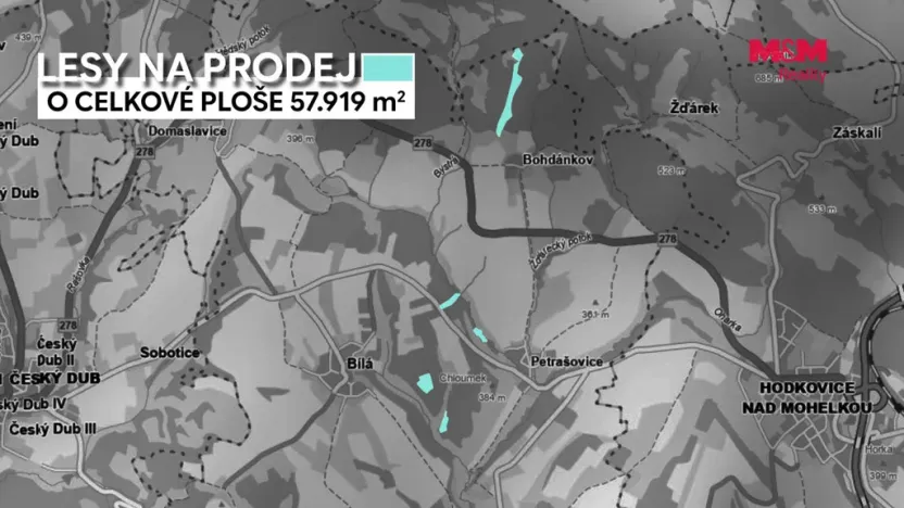 Prodej lesa, Bílá, 11944 m2