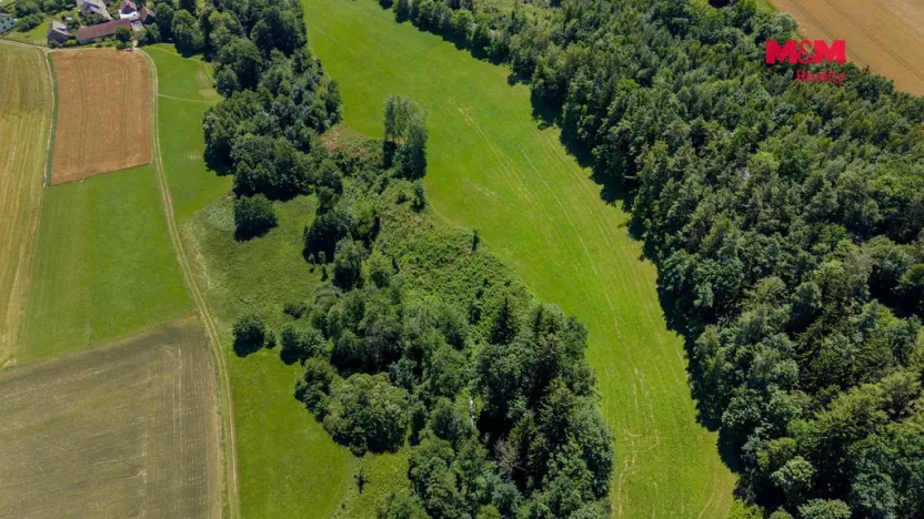 Prodej lesa, Bílá, 22447 m2