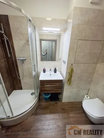 Pronájem bytu 2+1, Prostějov, Rumunská, 53 m2