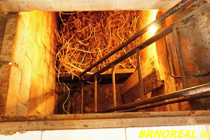 Prodej rodinného domu, Moutnice, 163 m2