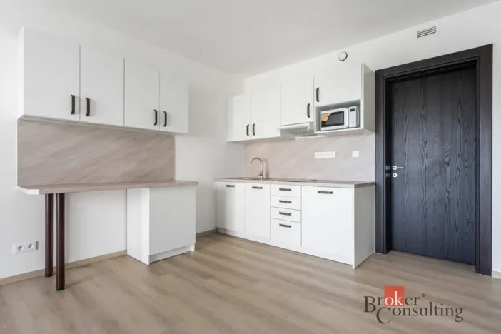 Pronájem bytu 1+kk, Olomouc - Nová Ulice, Třída Jiřího Pelikána, 32 m2