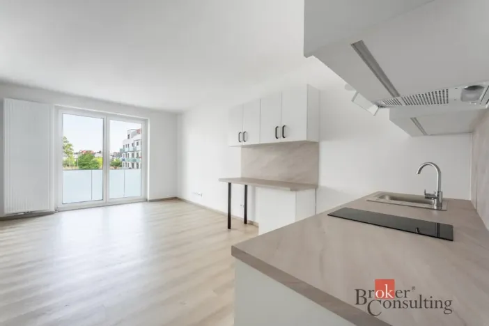 Pronájem bytu 1+kk, Olomouc - Nová Ulice, Třída Jiřího Pelikána, 32 m2