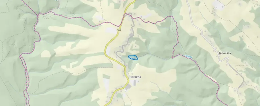 Prodej lesa, Strážná, 615 m2