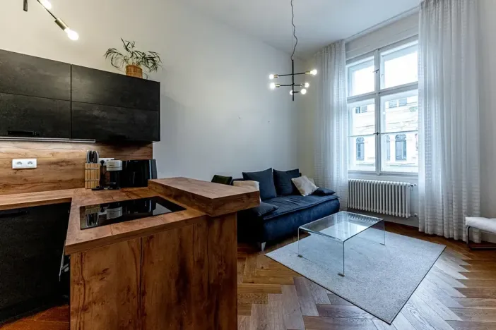 Pronájem bytu 2+kk, Praha - Nové Město, Dlážděná, 72 m2