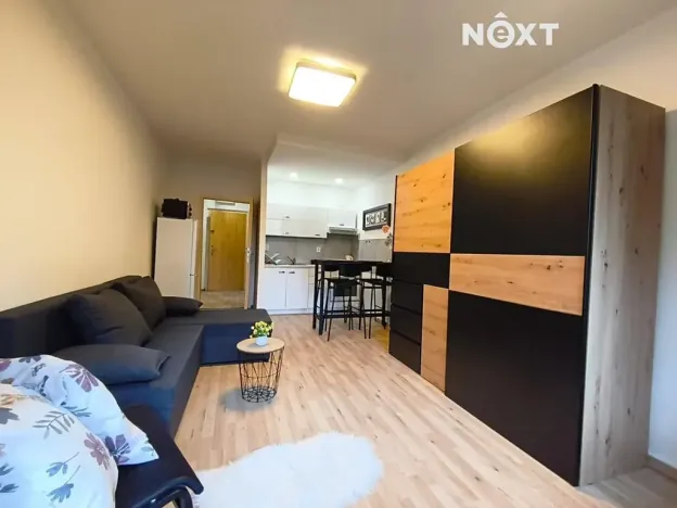 Pronájem bytu 1+kk, Bohumín, Svat. Čecha, 28 m2