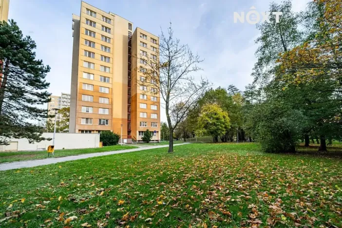 Pronájem bytu 1+kk, Bohumín, Svat. Čecha, 28 m2
